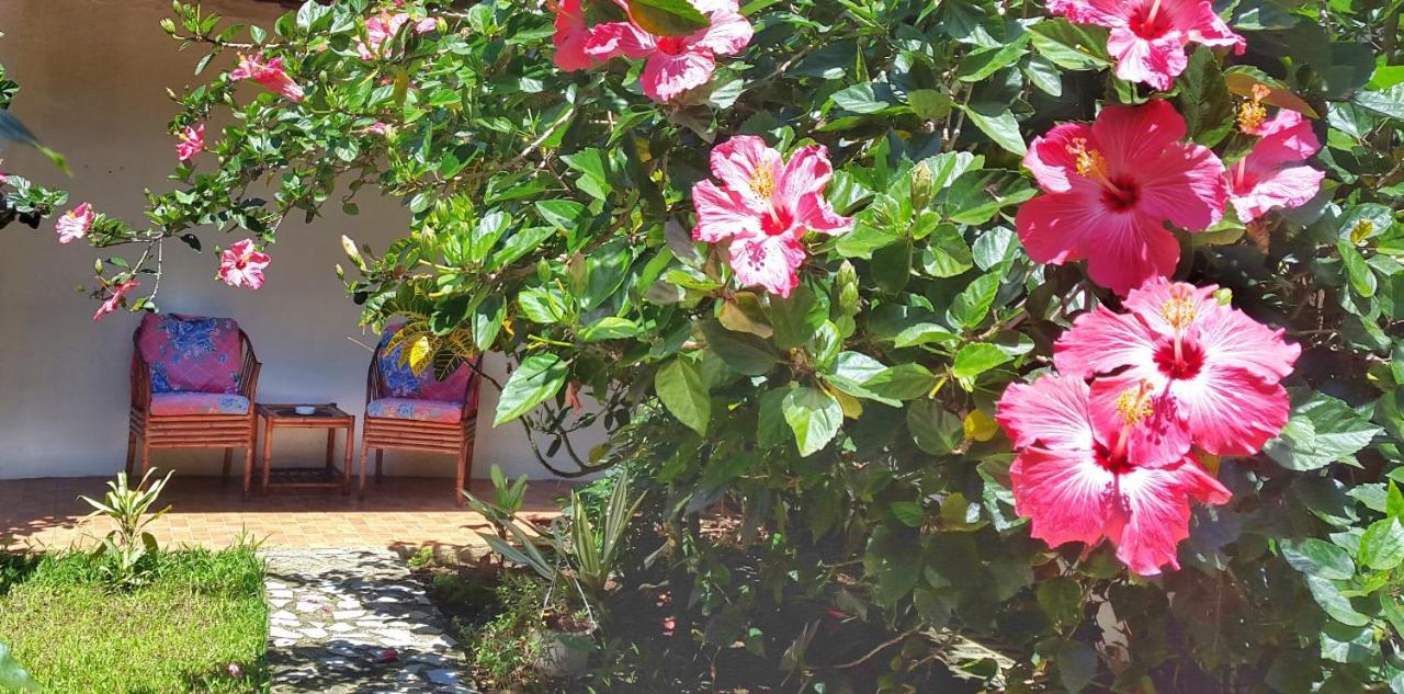 Vida Tropical Bed and Breakfast Alajuela Zewnętrze zdjęcie