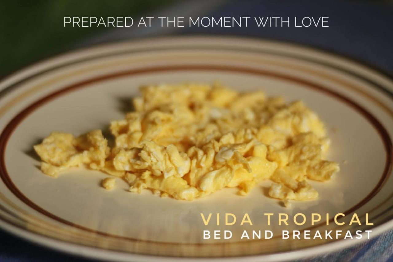 Vida Tropical Bed and Breakfast Alajuela Zewnętrze zdjęcie
