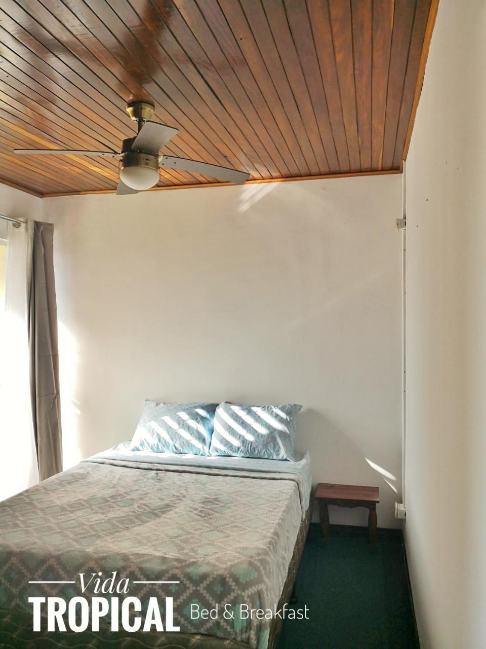 Vida Tropical Bed and Breakfast Alajuela Zewnętrze zdjęcie