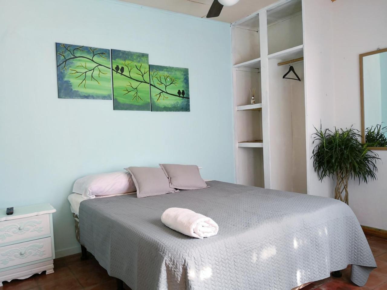 Vida Tropical Bed and Breakfast Alajuela Zewnętrze zdjęcie